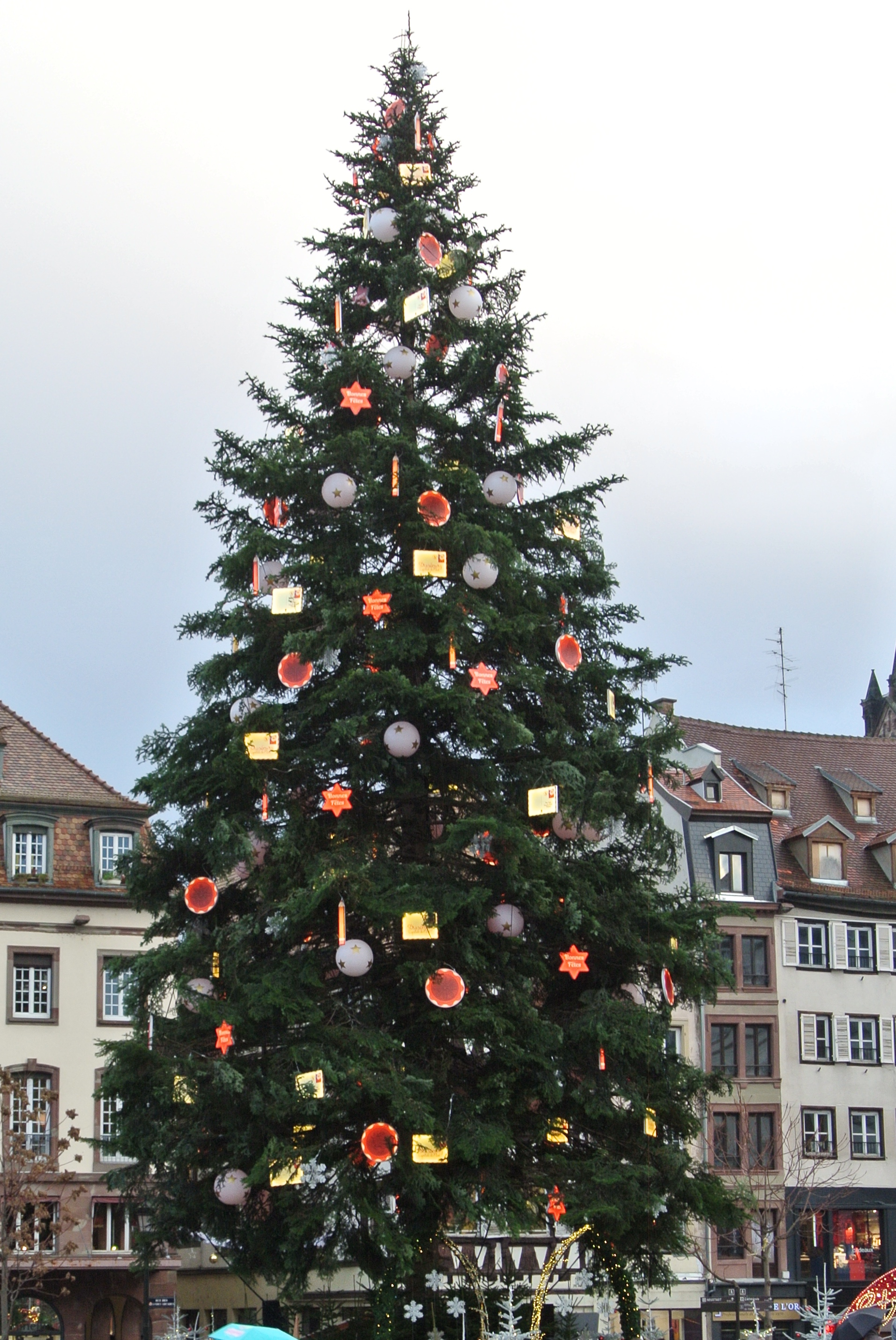 Grand sapin de Noël Place Kléber